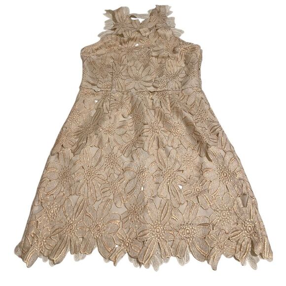 SaylorJessa Flower Appliqué Rose Gold Lace Mini Dress Size Large - Picture 7 of 13